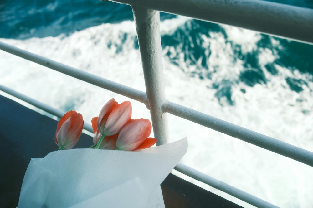 Scattering ashes at sea regulations singapore